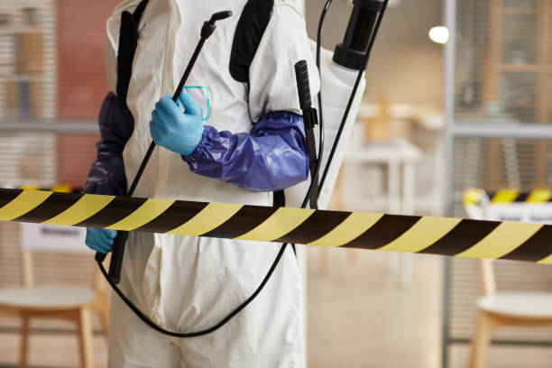 Professional Hoarding Cleanup technician working in Linden, AZ